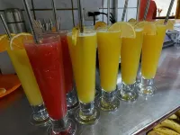 Hotel Casa Gitana Corcovado Tour Operador - bar
