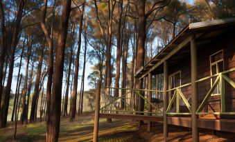 a wooden cabin surrounded by trees , with a wooden deck and railings in the foreground at Balingup Heights Hilltop Forest Cottages