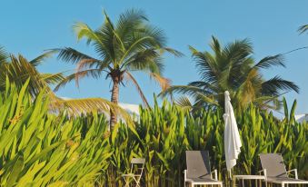 Meet Boutique Resort