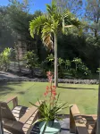Mango Sunset Bed and Breakfast Hotels near Honokohau Marina & Small Boat Harbor