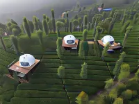 Vythiri Tea Valley I Best Hotel in Wayanad l Hotels in Vythiri Wayanad