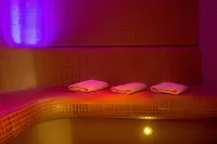 艾麗莎堡天橋附近的酒店 - SPA