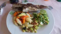 Hotel le Trarza - breakfast