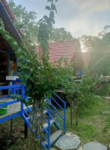 南貓小屋旅館