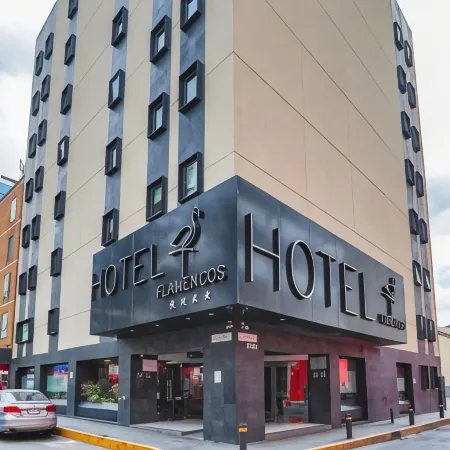 Hotel Flamencos Centro Histórico Отели рядом с достопримечательностью «Аламида Централ»