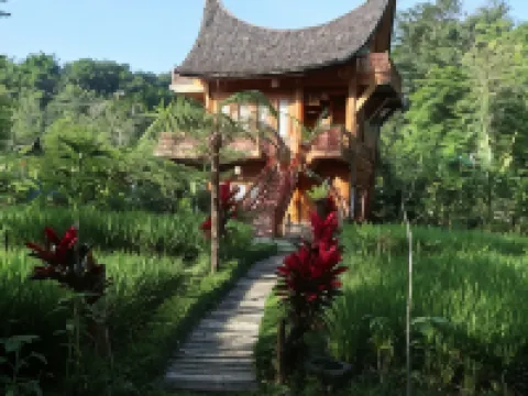 Padi Ecolodge Hoteles en Agam