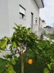 Aloha Inn Hotels in Artemida