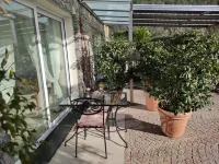 La Casa degli Ulivi