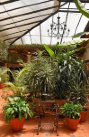 Hotel San Luis Hotels in 