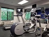 홀리데이 인 익스프레스 에이펙스 - 롤리