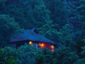 The Tamara Coorg