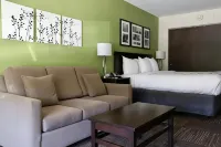 Sleep Inn & Suites Belmont - St. Clairsville - Family