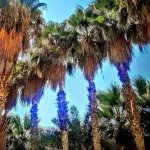 Softa Vivanco Hotel Các khách sạn ở Anamur