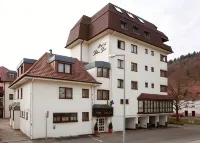 Hotel Blume Post Hotels in Zollernalbkreis