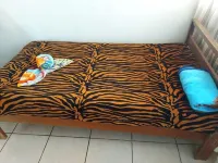 Casa Familiar Grande Mono Congo de osa