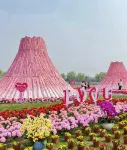 Wan'an Red Cedar Wellness Valley Homestay