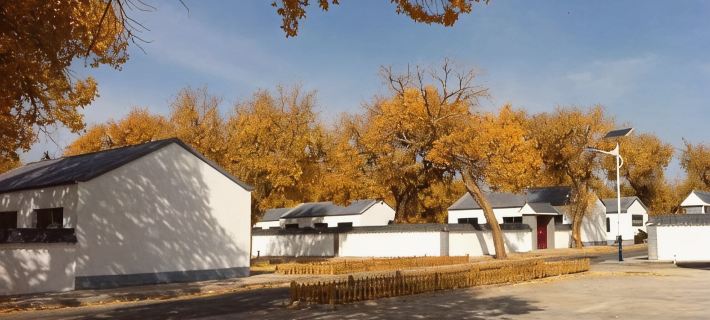 Ejina Banner Populus euphratica Forest Homestay Hotels in Ejin Banner