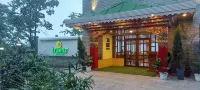 Treenz Hotel Hotels in 
