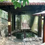 Yichun Huge Hot Spring Holiday Villa - Kaplıcalı