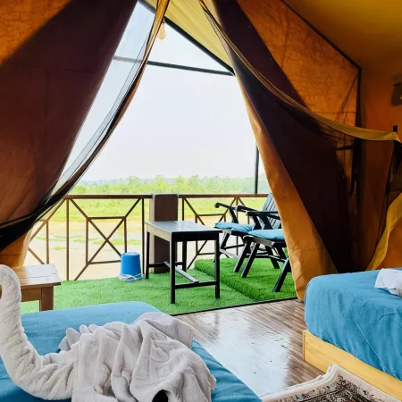 Jungle Wildlife Camp