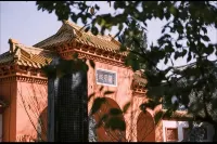 โรงแรมแฟชั่นซีหยู่ (สาขา พลาซ่าเวยเยว่ มอร์แกน หนานหยาง) - โรแมนติก