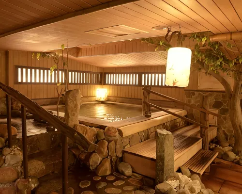 the b suidobashi Hotels near Bunkyo