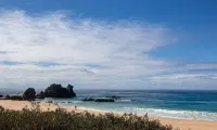 Beautiful beachside house and garden - 2 minutes from the beach!