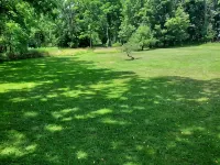 Pet friendly 4-bedroom cottage in fabulous Penn Yan with WiFi, AC and more Hotels in Yates County