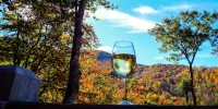 Mountain View -  Hot Tub - Mountain View Sleeps 6 -  Dog / Pet Friendly - - Mountain view