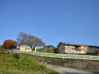 Waitomo Big Bird Retreat Hotels in Waitomo Caves