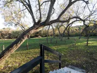 Cozy Cabin on the Creek with WiFi and AC in Delightful Belton 벨톤 호텔