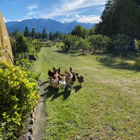 Otter Lake B&B, Denman Island, BC, Canadafamily friendly, coastal