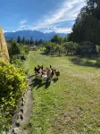 Otter Lake B&B, Denman Island, BC, Canadafamily friendly, coastal - 3-Star