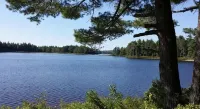 900 sq/ft off-grid cabin nestled on Upper Cranberry Lake. Pet Friendly! - Beach