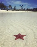 Second Wind - Atlantic Views - Just Steps to Beach!