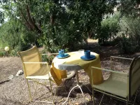 Studio 2 km from the beach wifi and parking - Apartments
