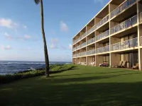 海濱公寓大廈，配有空調，從我們的露台可觀賞海龜 - 海滩