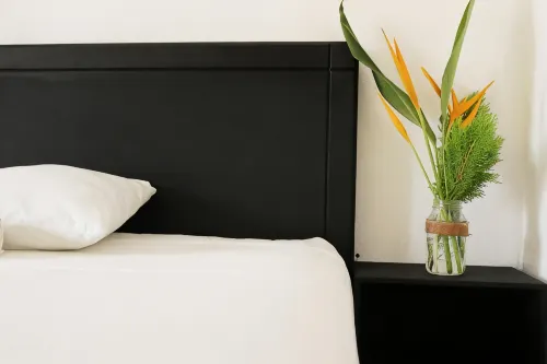 Standard Queen Room Two Beds - Afhentnings-/afleveringstjenester