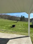 Cozy House, Sleeps 14 and 12 miles to the visitor center in Benezette, PA