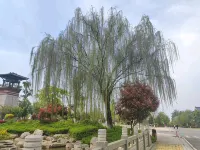 Miaojie Homestay (Hanxing Road)
