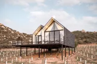 Oeno Wine Lodge Valle de Guadalupe - Barer