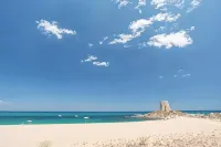 스텔라 델레스트