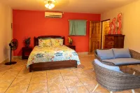 Exotic Iguana Apartmentos 1