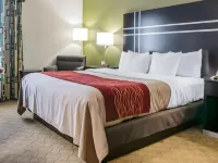 Comfort Inn & Suites Maumee - Toledo I80-90 Hotels in Maumee