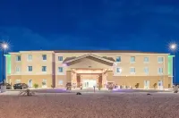 Quality Inn & Suites Carlsbad Caverns Area - Pools
