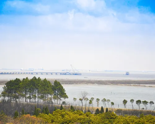 上海東方酒樓（浦東国際空港） Photos