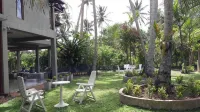 Leather Back Beach Villa