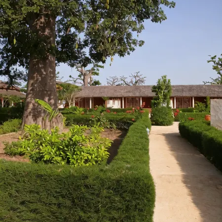 Baobab Soleil