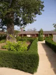 Baobab Soleil
