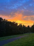 The Art House: 5-Acre, Private Getaway with Fireplace - 4-Star
